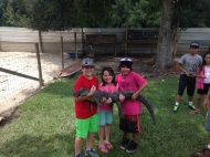 Just some cousins and a gator